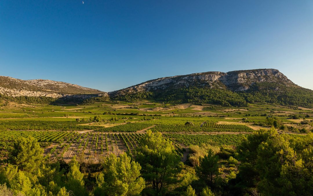 Terres Plurielles - Cave coopérative