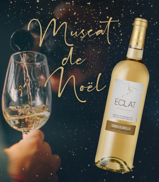 Le Muscat de Noël est arrivé !